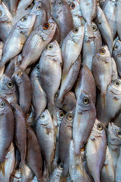 istock Variety of fish and shellfish on ice at seafood stall. 2246554653