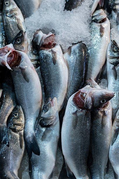 istock Variety of fish and shellfish on ice at seafood stall. 2246554687