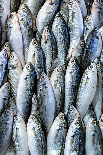 istock Variety of fish and shellfish on ice at seafood stall. 2246554690