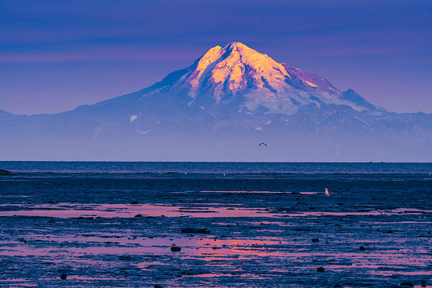 Mount Redoubt is illuminated by the rising sun as it stands tall over the calm waters of Cook Inlet.