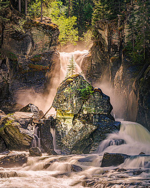 A lone evergreen tree stands atop a rock formation in the middle of a powerful waterfall at Liberty Falls.