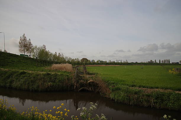Meadows and country roads in the Zuidplaspolder where new village will arise in future named Cortelande in the Netherlands