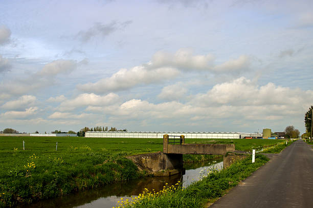 Authentic dutch river landscape with green meadows, water and blue sky, Netherlands.