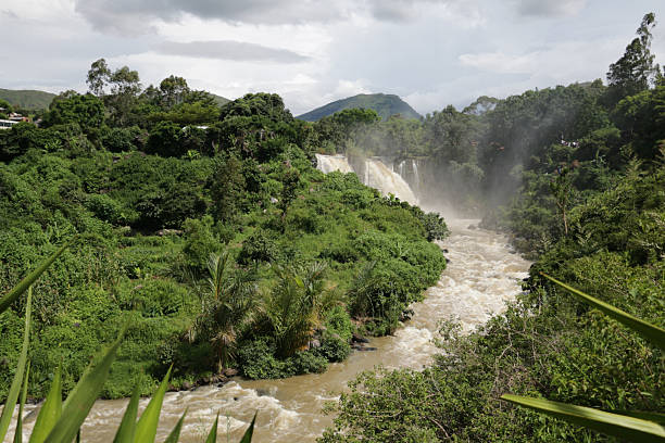istock Landscape of Madagascar 2246563441