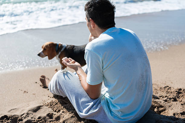 istock rear view of an unrecognizable man and dog finding peace on beach 2246564909