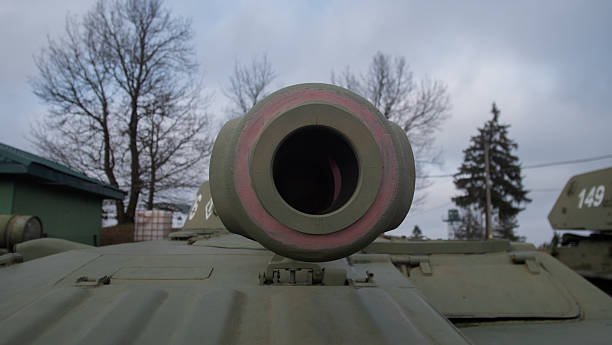 symmetrical firearm with winter ambiance, circular barrel and worn paint depict tranquil winter weapon scene