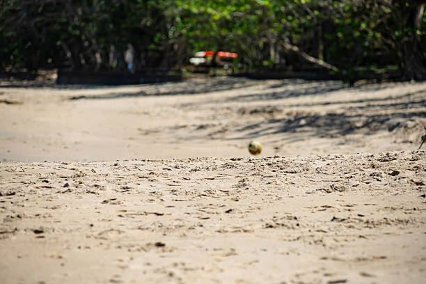 Panoramic beach view, foreground, sand, blurred background, soccer ball alone, bouncing on the sand, tree shadows, trees, colorful canoes among the trees