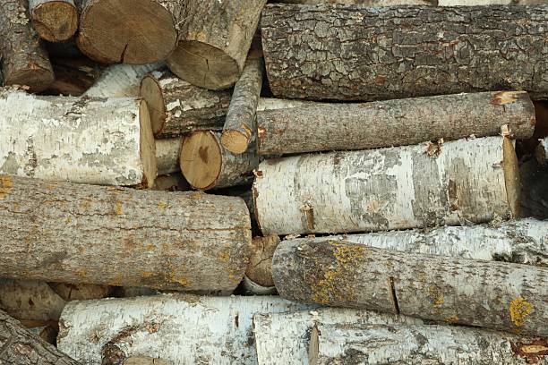 istock Pile of cut firewood outdoors, closeup view 2246583194
