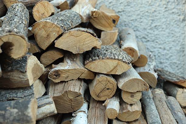 Pile of cut firewood outdoors, closeup view