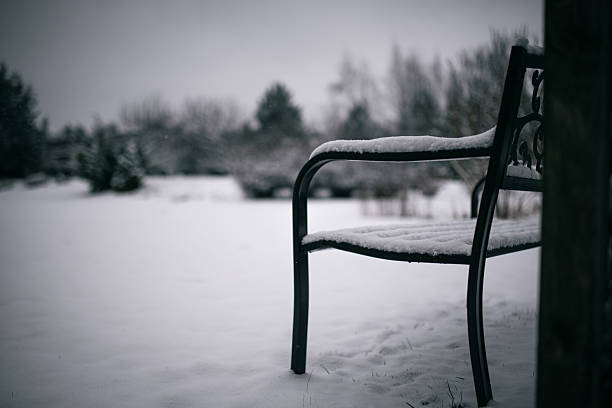 A snow-covered bench sits peacefully in a winter landscape, offering a moment of quiet solitude in the cold.