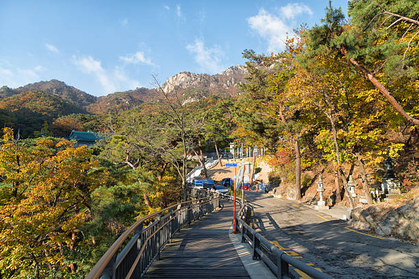 YONGIN, KOREA - FEBRUARY 15,2018: Golden head big Buddha statue at Yunwha Mountain, Wawoo Jeongsa Temple, Yongin at South Korea