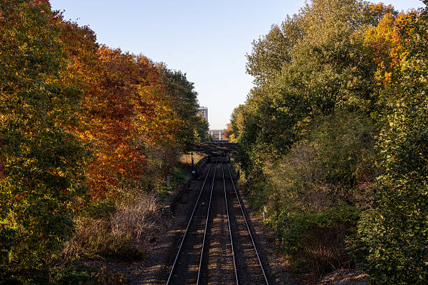 Double train tracks in rural Virginia.