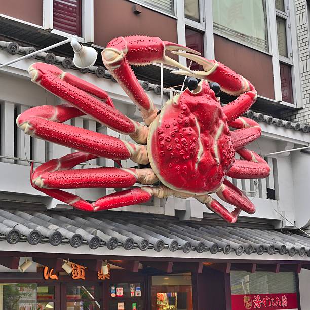Sea crab on the shore.