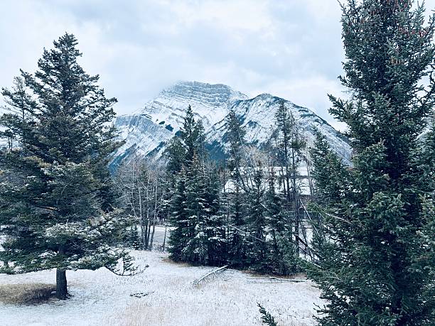 View of Mt. Rundle in the Banff National Park in Alberta Canada. Viewed form Tunnel Mountain Road on a snow day.