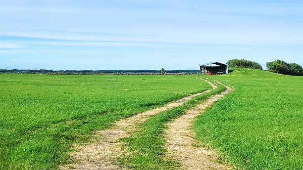 istock Farm Track To Shed Through Green Grass Paddock 2246602345