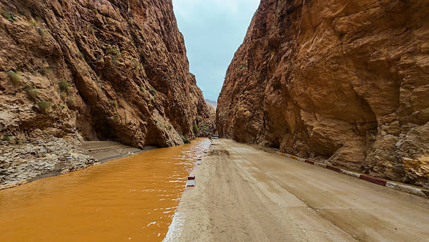 A striking view of a narrow canyon in Morocco with steep reddish rock walls and a rural road running alongside a muddy river. The water flows parallel to the road, framed by dramatic geological formations and an overcast sky. This natural scene highlights the coexistence of infrastructure and wild terrain, ideal for themes like travel, nature, geology, and remote landscapes.