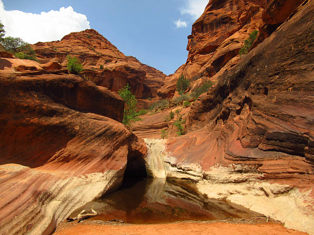 istock Desert Pond in Red Rock Canyon Landscape 2246609840