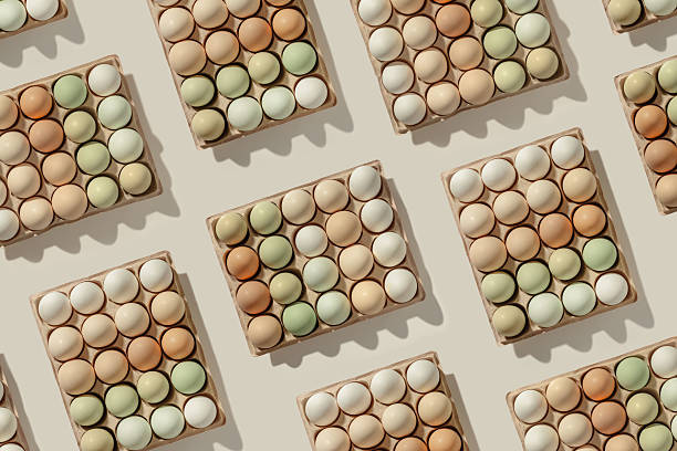 istock Natural colored eggs in packaging, green brown white colorful Chicken egg, creative food pattern. Minimal Easter holiday, top view still life photo pastel color, flat lay with festive eco frendly food. 2246616571
