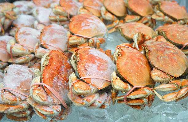 istock frozen cooked crab on the ice for sale 2246617362