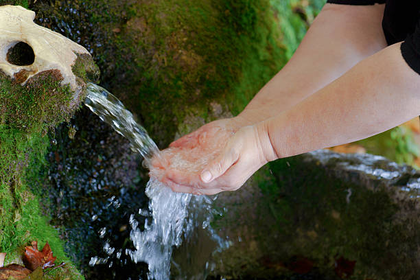 Person's cupped hands collecting clear, pure water flowing from a moss-covered stone fountain in nature, quenching thirst