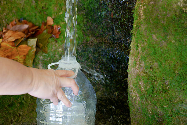 Hand filling a plastic bottle with fresh, pure drinking water flowing from an abundant natural spring in a mossy environment