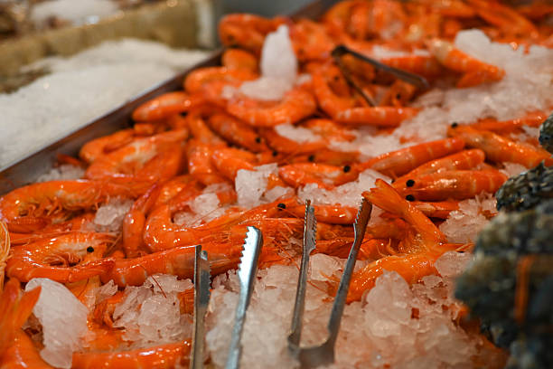 Shrimp lined up at a buffet meal