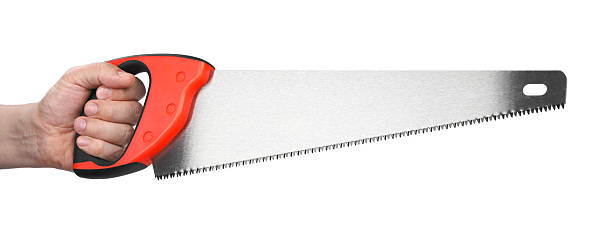 istock Man holding saw with colorful handle isolated on white, closeup 2246625367