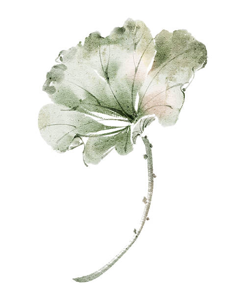 istock Exquisite watercolor lotus leaves with soft green tones 2246626203
