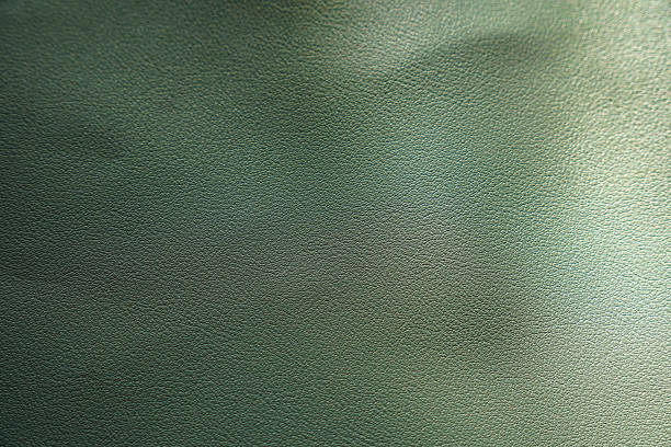 istock Abstract green textured background with soft color variations 2246627709