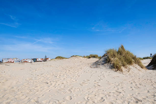 Beach in zeeland