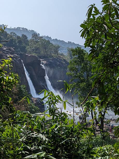 istock Misty Jungle Falls Through Tropical Foliage 2246633558