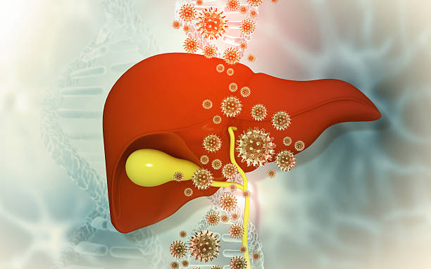 istock Human liver virus infection 2246640905