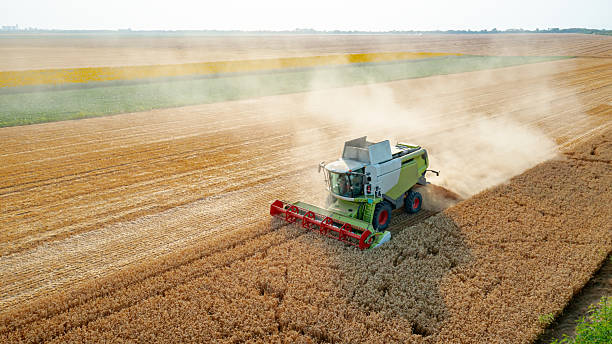 istock Aerial view on combine, harvester machine, harvest ripe cereal 2246645558