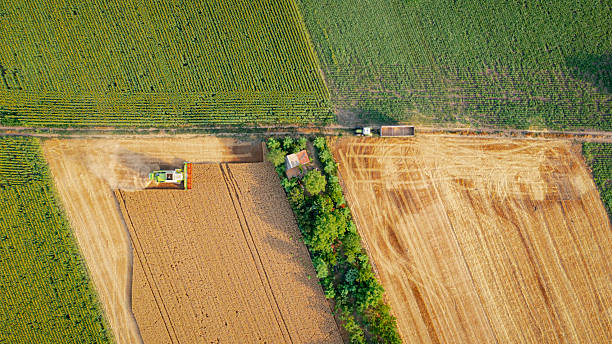 istock Aerial view on combine, harvester machine, harvest ripe cereal 2246645892