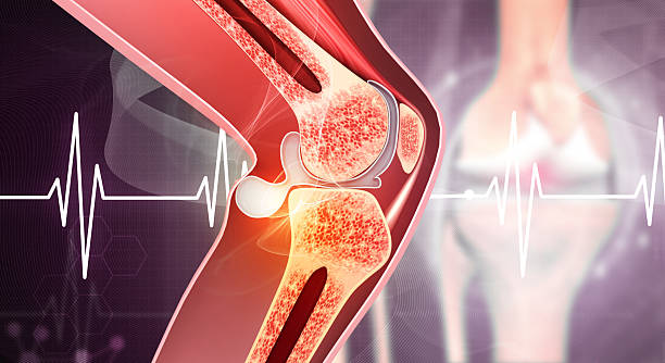 istock Human knee anatomy on medical background 2246646062