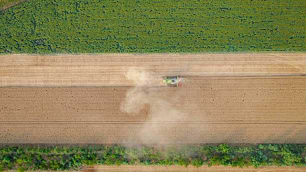 istock Aerial view on combine, harvester machine, harvest ripe cereal 2246646082