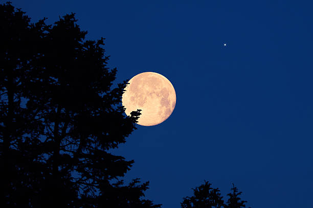 istock Full Moon with stars, planets and rural countryside tree silhouettes. 2246647833