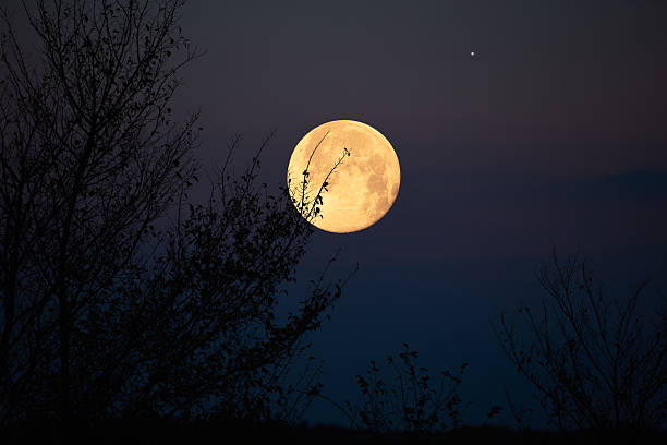 istock Full Moon, stars, planets and landscape scenery silhouettes. 2246647842