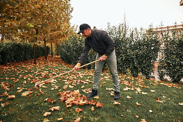 istock Man cleaning garden from fallen autumn leaves. 2246648045