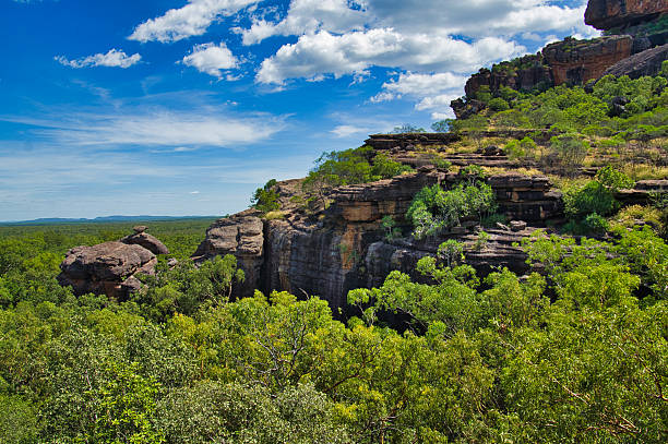 Rock formation in forested area, northern Australia