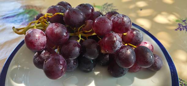 istock Ripe fresh washed red grapes on a plate, waterdrops, fruit, table, close up 2246648636