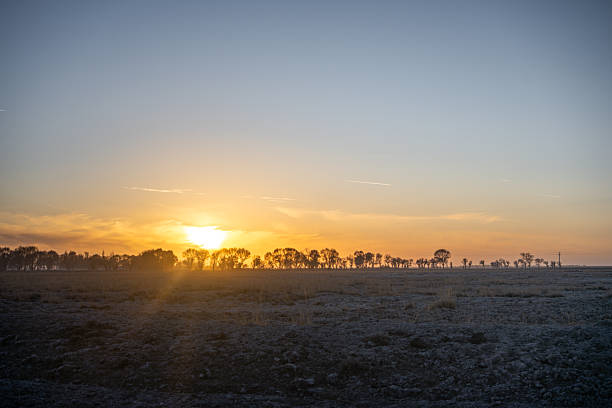 istock A Serene Sunset Over an Expansive Grassland with Silhouetted Trees on the Horizon 2246648905