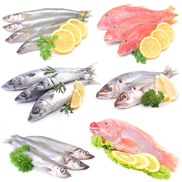 istock Sea fish for every taste 2246651072