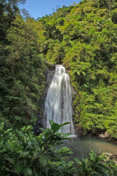 istock Waterfall in lush subtropical forest in Taiwan 2246651633