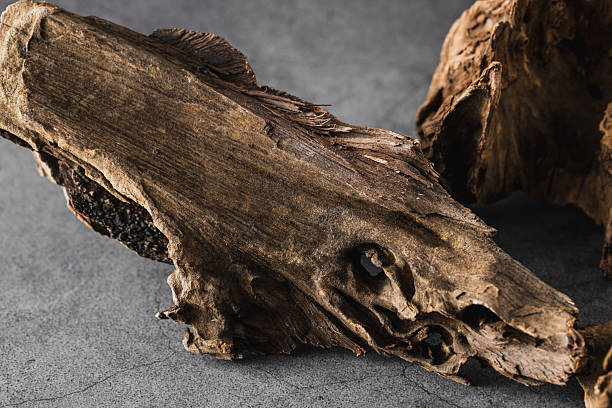 istock Fallen Wood Piece with Unique Texture and Organic Form 2246657387