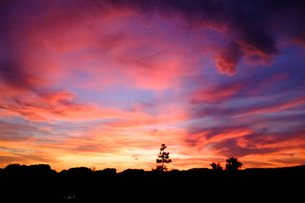 Dramatic sunset fills the sky with a stunning array of warm orange, pink, and purple clouds, creating a breathtaking natural backdrop above the silhouetted horizon line of trees