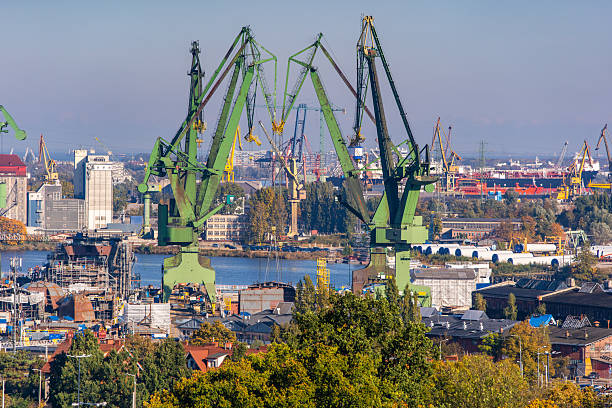 Large green cranes stand above an industrial port filled with cargo equipment and buildings, with autumn trees in the foreground and a wide urban area stretching toward the distant waterfront.