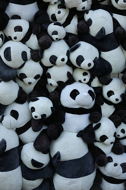 istock Many giant panda doll in chengdu, China 2246661621