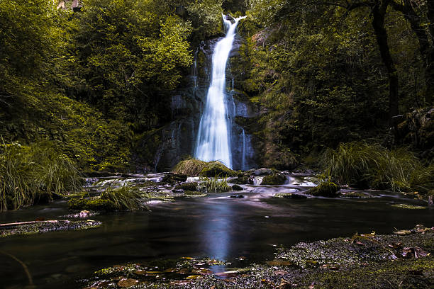 Waterfall and its reflection amidst a dark and dense forest. Fervenza de Vieiros. Courel