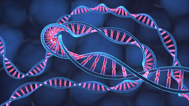 Colorful DNA helix on a blue cellular background